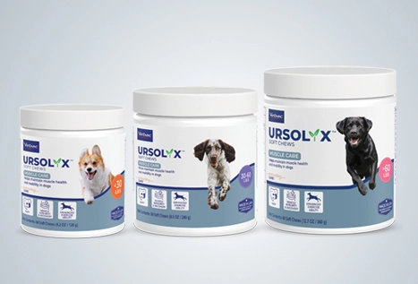 URSOLYX™ Soft Chews